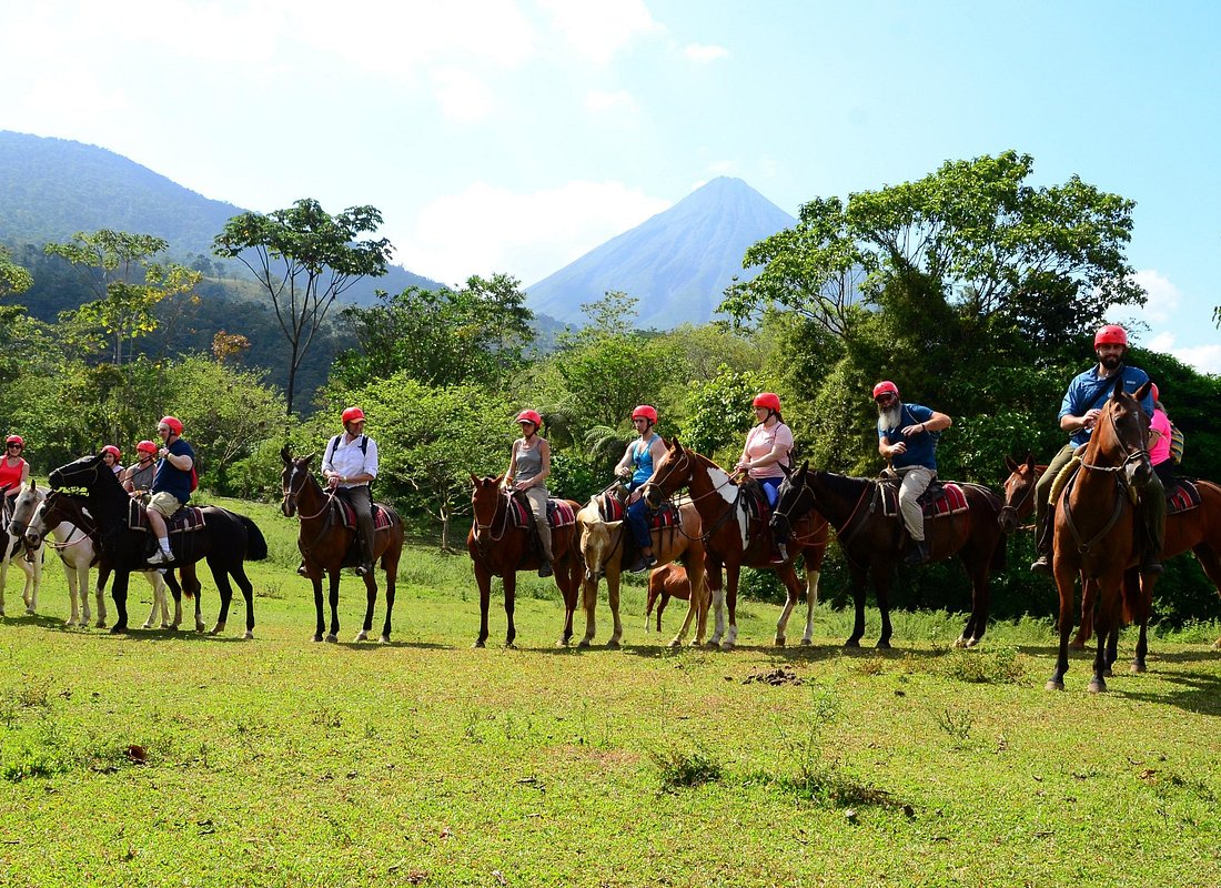 Beginner-Friendly Experiences