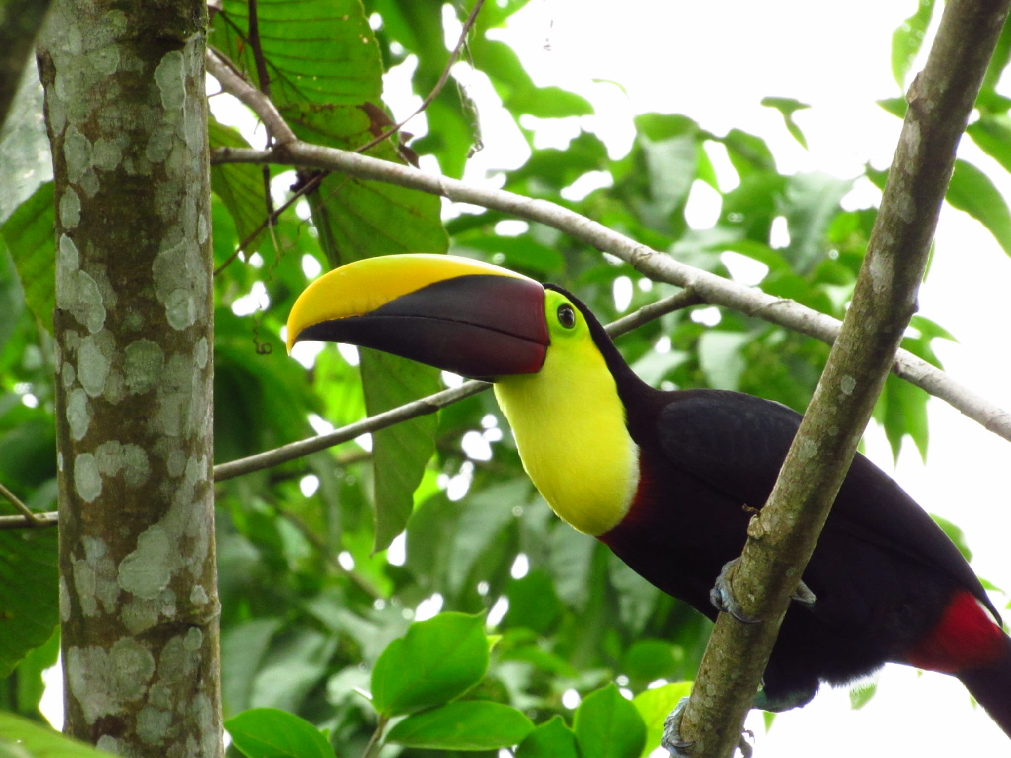 Birdwatching Experiences