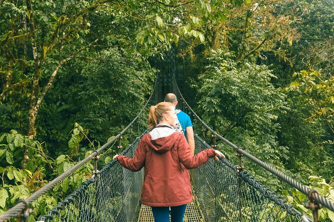Top Hanging Bridges Tours