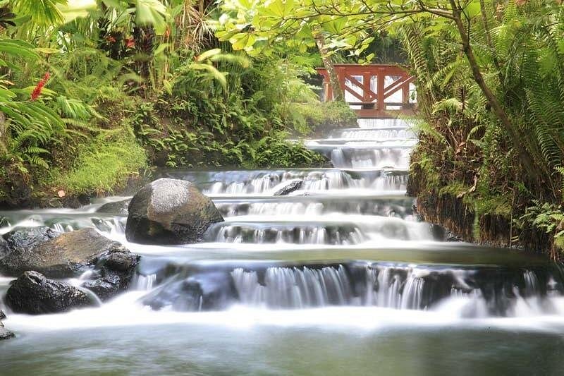 Tabacon Hot Springs Day Pass
