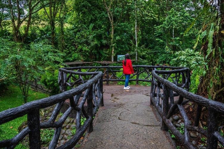 Arenal Hanging Bridges Self-Guided Walk at Mistico Park