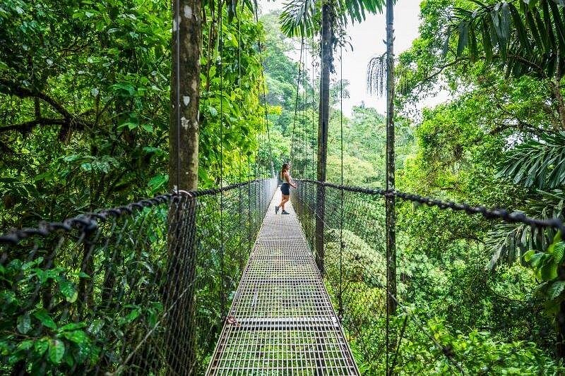Arenal Hanging Bridges Self-Guided Walk at Mistico Park