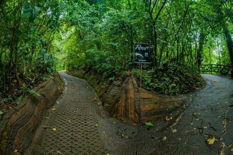 Arenal Hanging Bridges Self-Guided Walk at Mistico Park