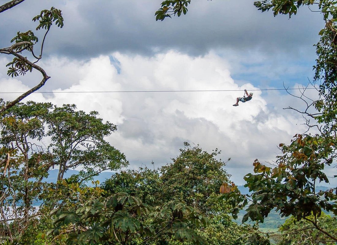 Sky Tram & Sky Trek from Arenal