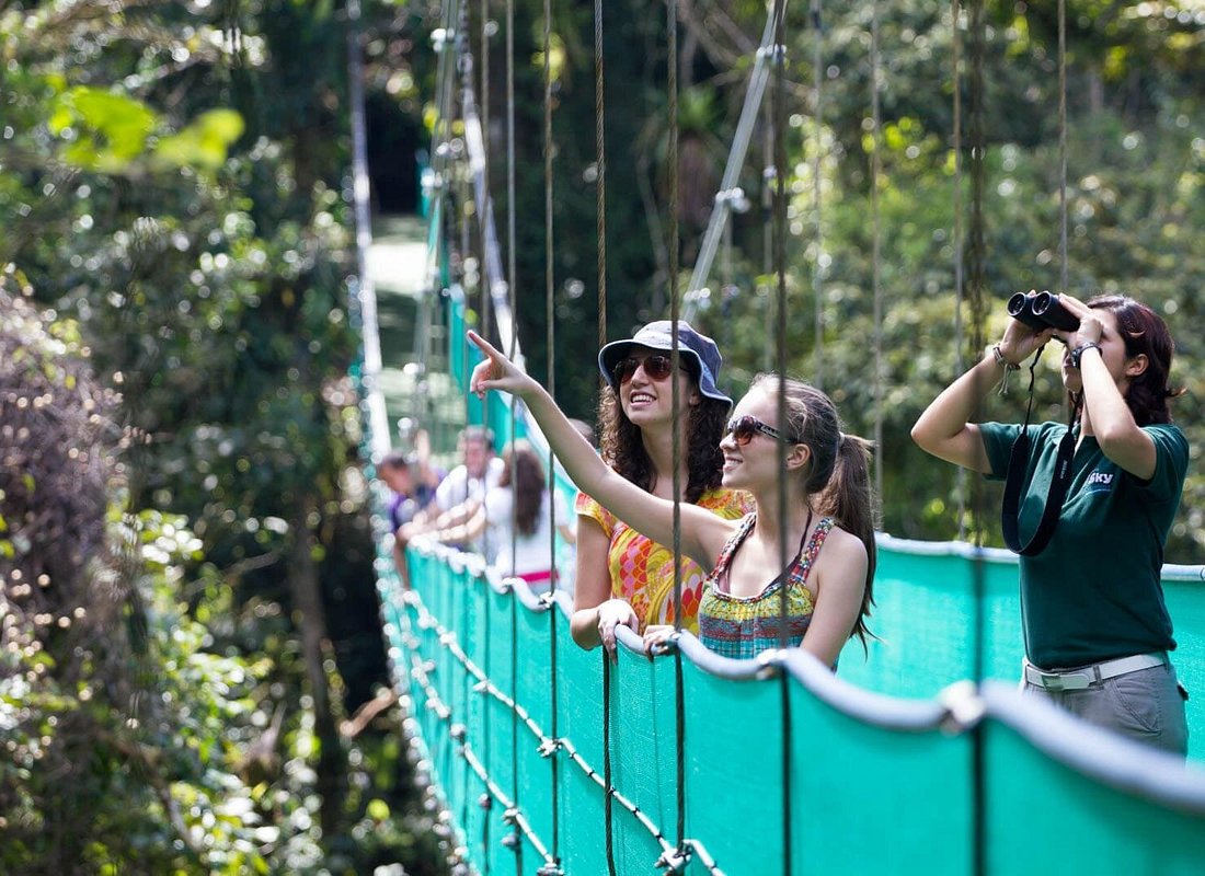 Sky Walk with Tour Guide From Arenal