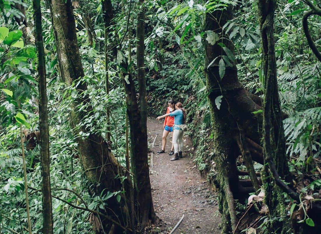 Sky Walk with Tour Guide From Arenal