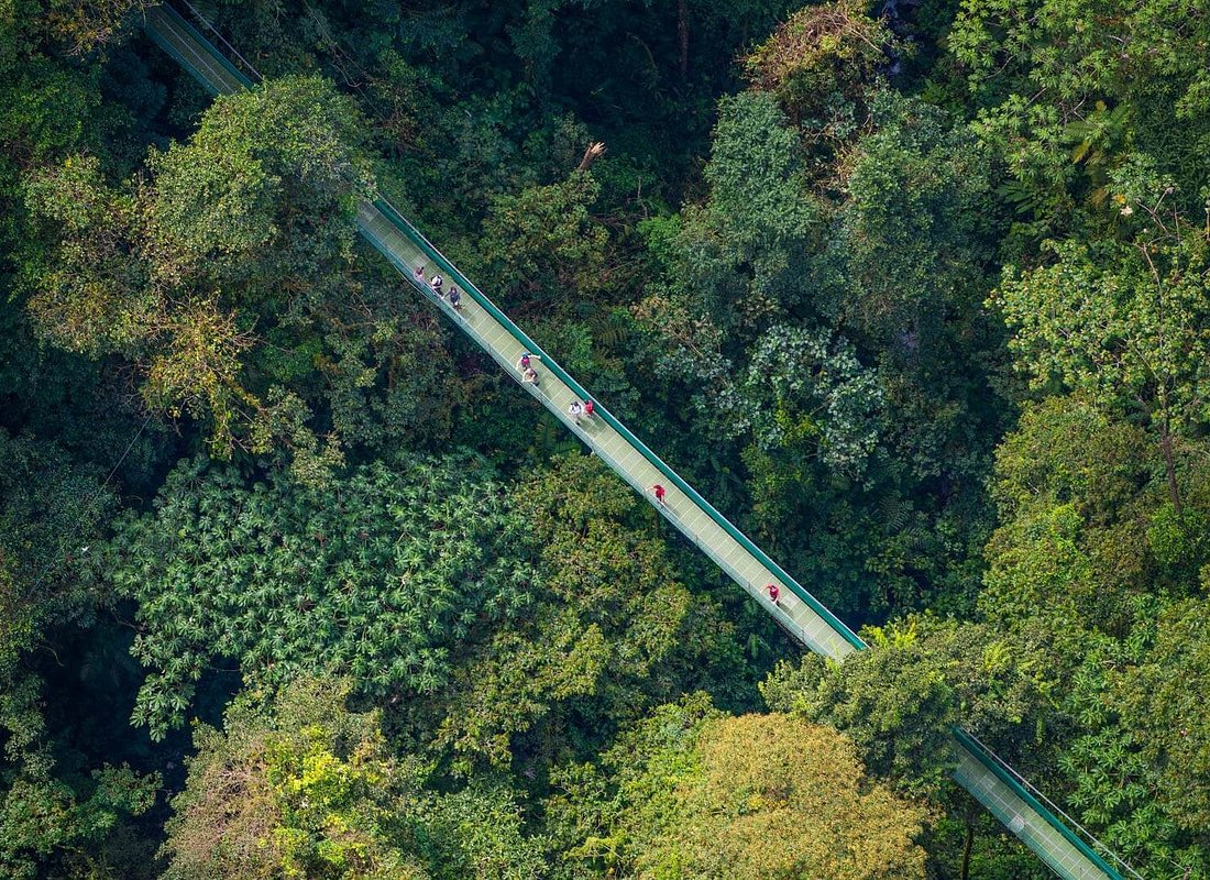 Sky Walk with Tour Guide From Arenal