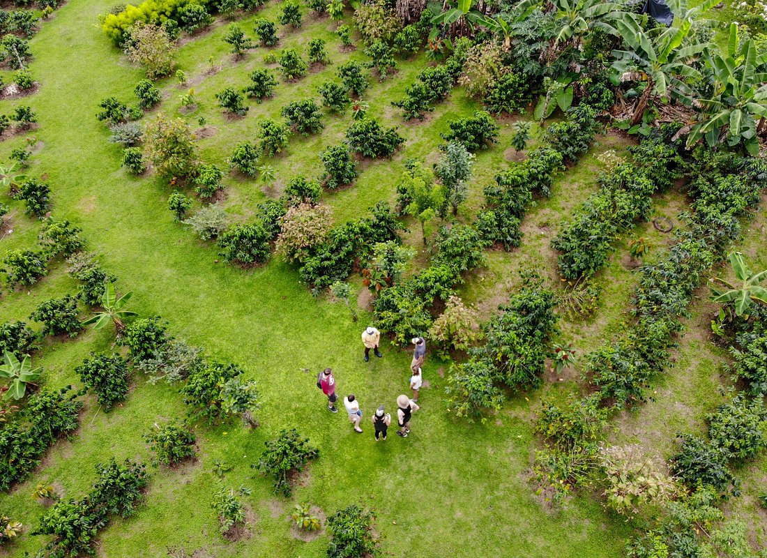 North Fields Cafe: Craft Specialty Coffee and Chocolate Tour