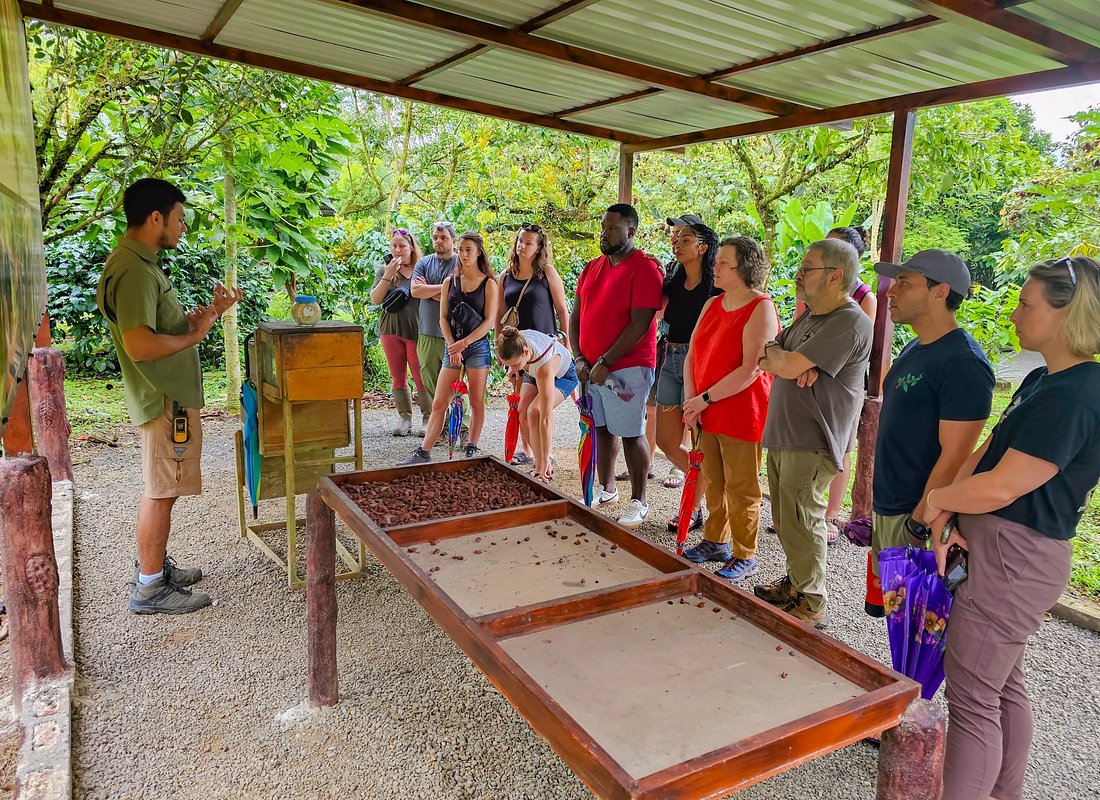 North Fields Cafe: Craft Specialty Coffee and Chocolate Tour