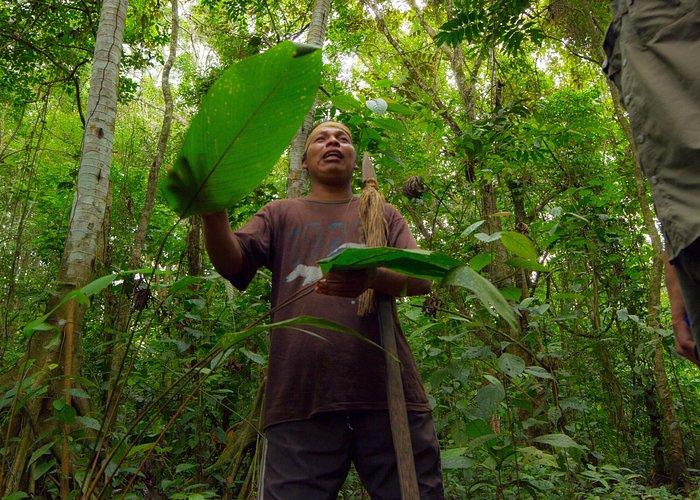 Maleku Indigenous Reserve Tour