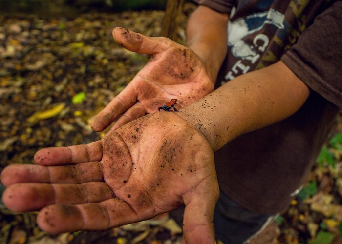 Maleku Indigenous Reserve Tour
