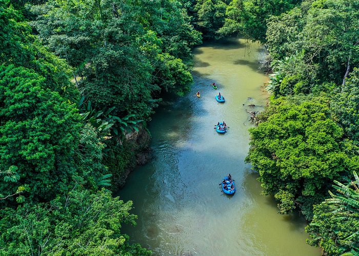 Wildlife & Nature River Safari Float on Peñas Blancas (Half-Day)