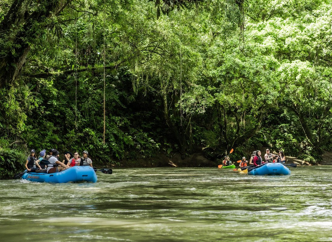 Wildlife & Nature River Safari Float on Peñas Blancas (Half-Day)