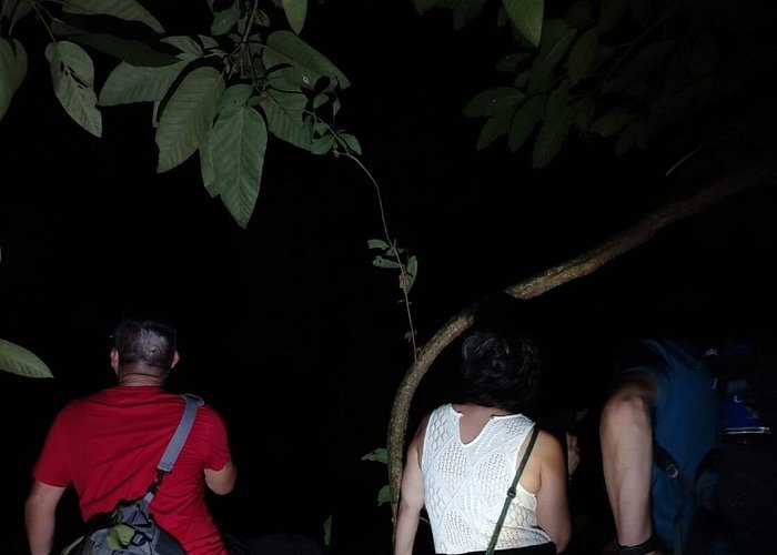 Ecocentro Danaus Night Walk