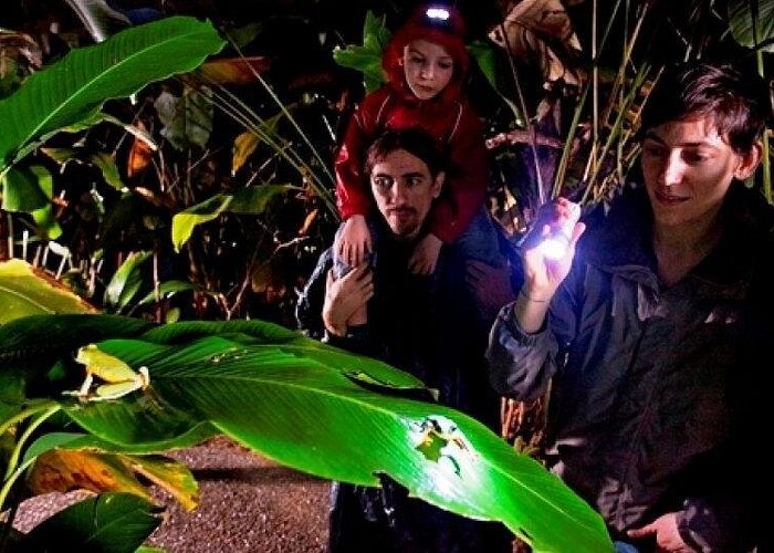 Arenal Oasis Night Walk